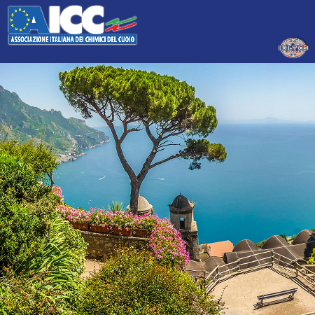 front-aicc-nazionale-2017