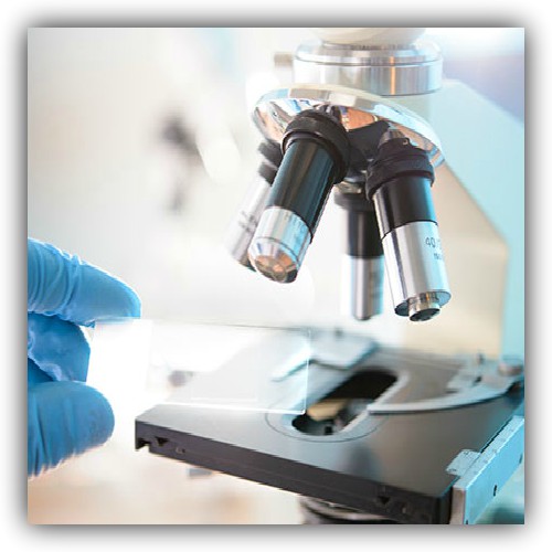 La microscopia ottica a contrasto di fase per il monitoraggio delle caratteristiche di qualità e autenticità dei cuoi