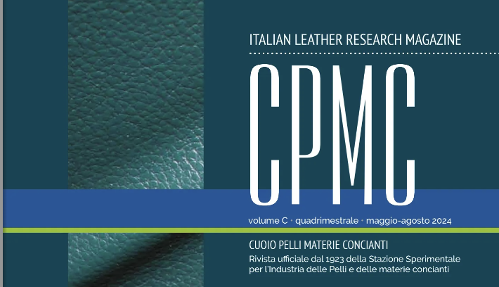 Pubblicato il nuovo numero di CPMC – 2/2024: L’editoriale del direttore Edoardo Imperiale