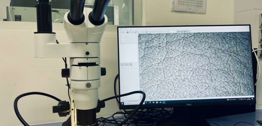 Focus Scientifico – Esame microscopico: uno studio comparativo delle pelli bovine